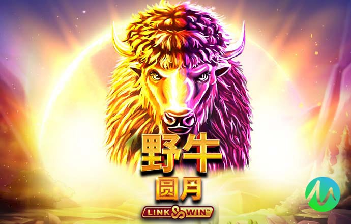 澳门中特网